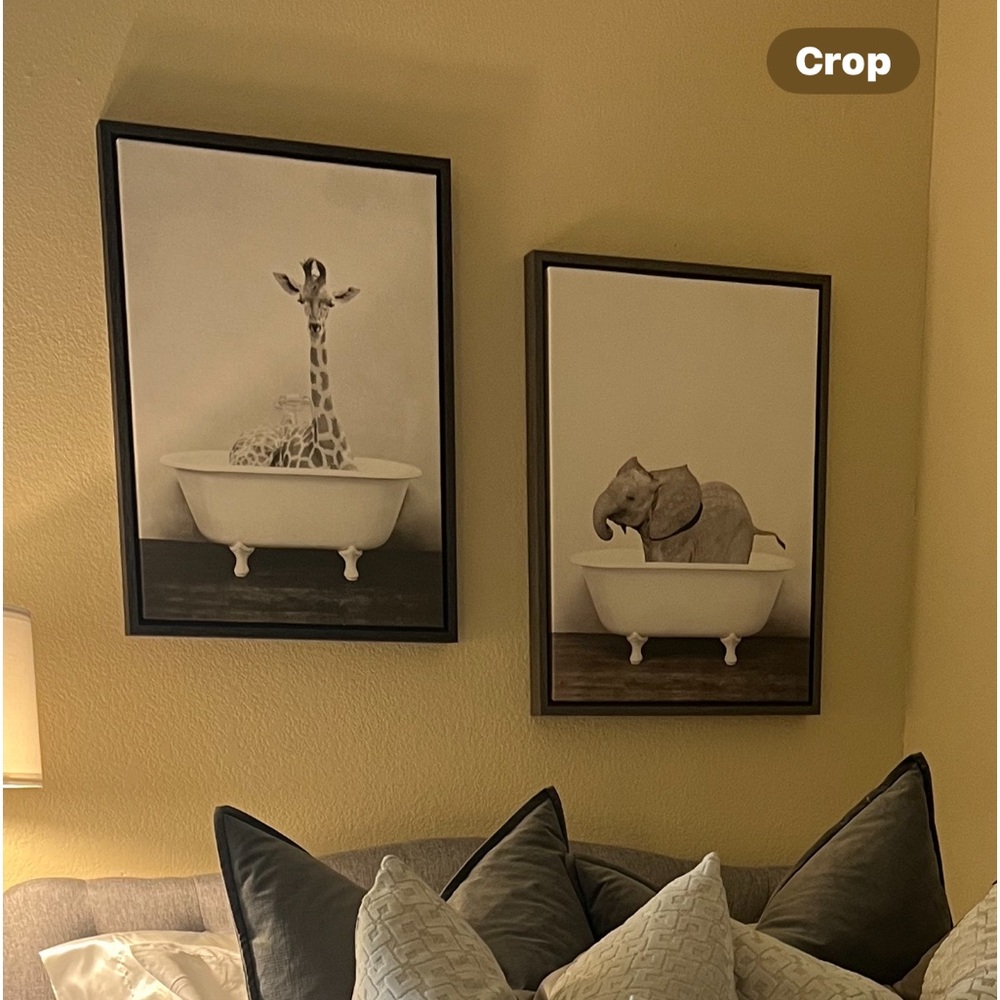 Canvas room decor!